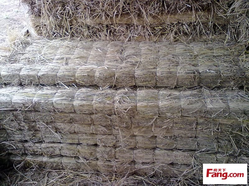 鐵路 貨運 物流 條形草支墊供應