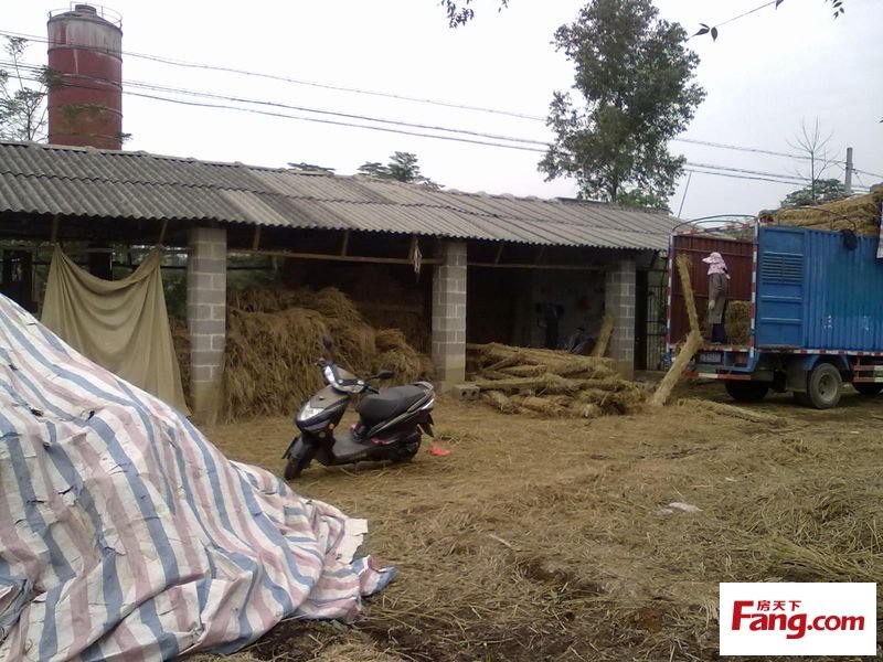 鐵路 貨運 物流 條形草支墊供應