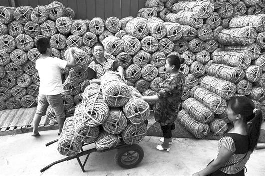 楚天金報訊 昨日，小編在武漢東湖花木城看到，用于給新栽樹木打箍以保持水分或溫度、提高成活率的草繩，銷售十分火爆。