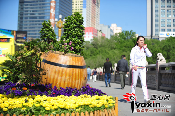 圖為：5月25日，烏市西大橋花堆擺放整齊有序。晨報全媒體記者胡大敏攝