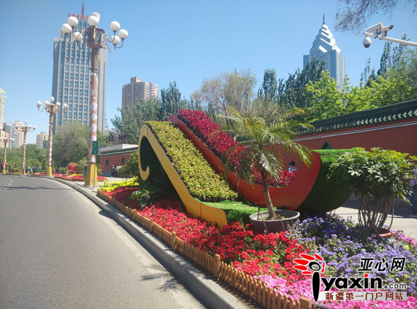 圖為：5月25日，烏市西大橋花堆擺放整齊有序。晨報全媒體記者胡大敏攝