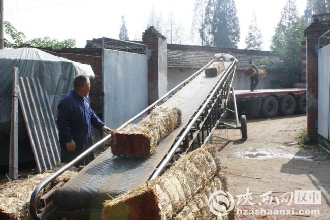 5壓制好的草支墊裝車銷往外地