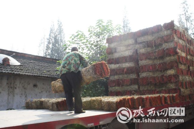 6即將運往外地的草支墊