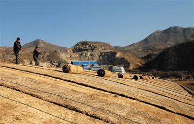 平定：大棚鋪設(shè)保暖草簾，冬季果蔬正常生長