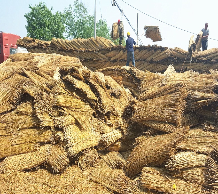 長(zhǎng)期供應(yīng)  1.5米寬雙邊草簾  稻草簾 綠化草簾 一手貨源