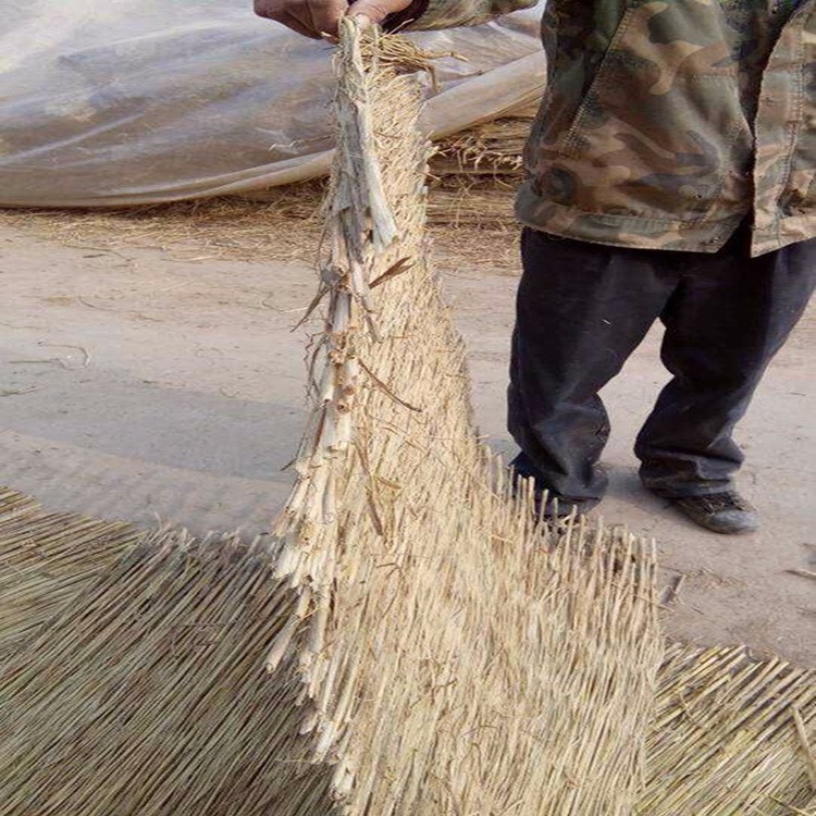 長(zhǎng)期供應(yīng)  1.5米寬雙邊草簾  稻草簾 綠化草簾 一手貨源