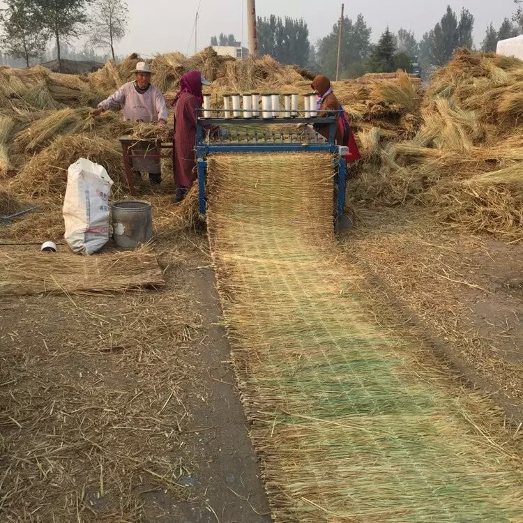 長(zhǎng)期供應(yīng)  1.5米寬雙邊草簾  稻草簾 綠化草簾 一手貨源