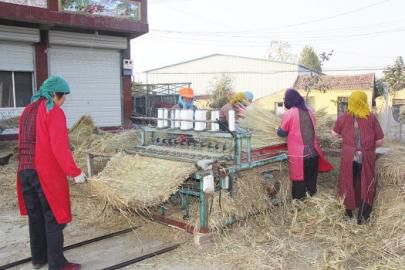 村民進行草苫加工