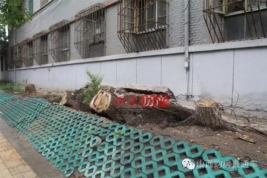 速度猛戳！獨家記錄漪汾街封閉改造工程前夕實景！