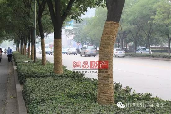 速度猛戳！獨家記錄漪汾街封閉改造工程前夕實景！