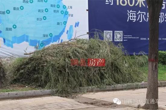 速度猛戳！獨家記錄漪汾街封閉改造工程前夕實景！