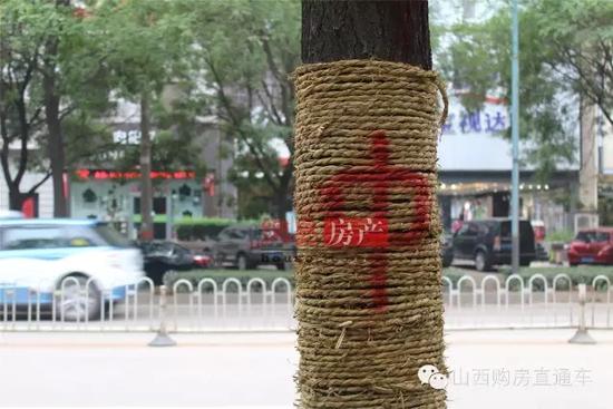 速度猛戳！獨家記錄漪汾街封閉改造工程前夕實景！