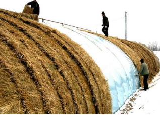 草簾子價(jià)格 草簾子價(jià)格