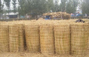 草簾子價(jià)格 草簾子價(jià)格