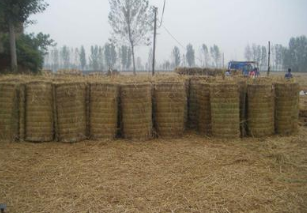 草簾子價(jià)格 草簾子價(jià)格