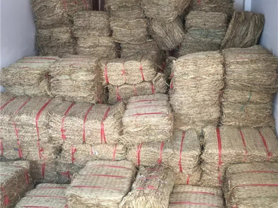 環(huán)保先鋒:綠化草袋引領(lǐng)城市可持續(xù)發(fā)展的新方??? 環(huán)保先鋒:綠化草袋引領(lǐng)城市可持續(xù)發(fā)展的新方???