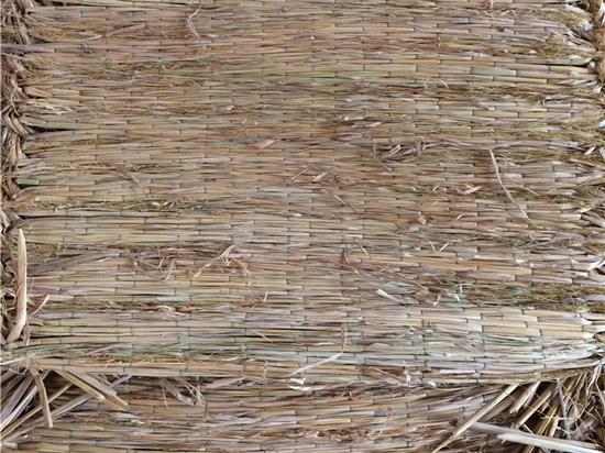 如何正確使用防汛草袋進行抗洪