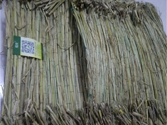 以綠化草袋為起點，打造生態(tài)友好型城市