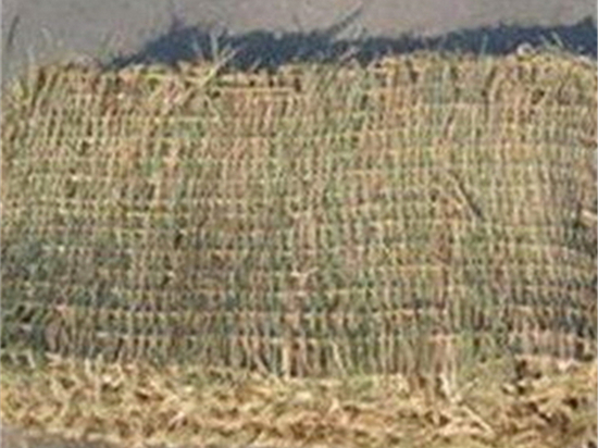 了解草袋廠的制造工藝和技術(shù)水平 了解草袋廠的制造工藝和技術(shù)水平