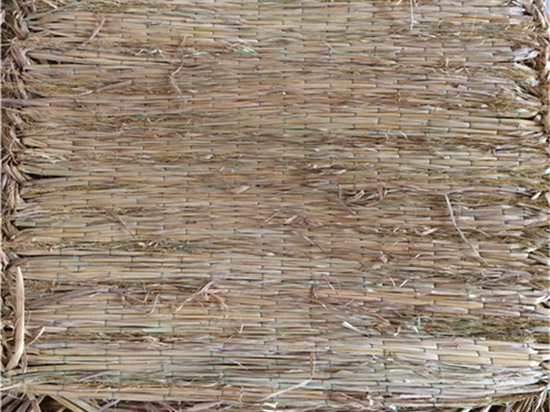 護坡草袋：保護自然，守護未來