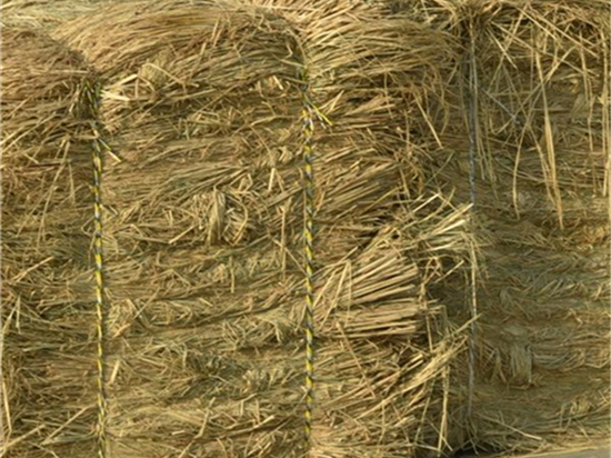 防汛草袋的環(huán)保指標(biāo) 防汛草袋的環(huán)保指標(biāo)