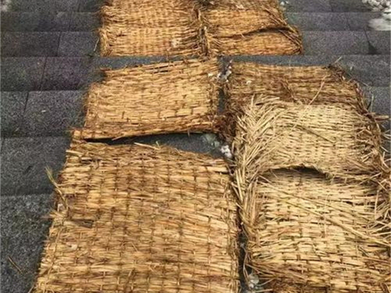 環(huán)保先鋒:綠化草袋引領(lǐng)城市可持續(xù)發(fā)展的新方??? 環(huán)保先鋒:綠化草袋引領(lǐng)城市可持續(xù)發(fā)展的新方???