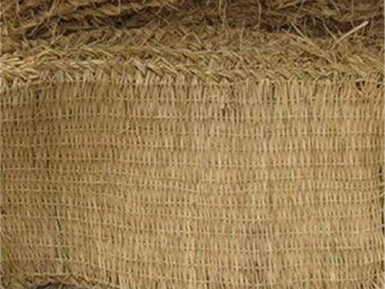 以綠化草袋為起點，打造生態(tài)友好型城市