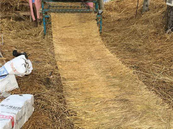 鋪路草苫:打造美麗環(huán)境的綠色道路材料 鋪路草苫:打造美麗環(huán)境的綠色道路材料