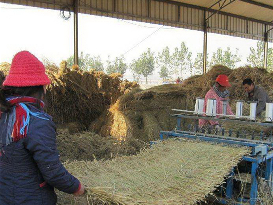 草苫規(guī)格選擇秘籍：根據(jù)使用環(huán)境和功能需求來(lái)決策