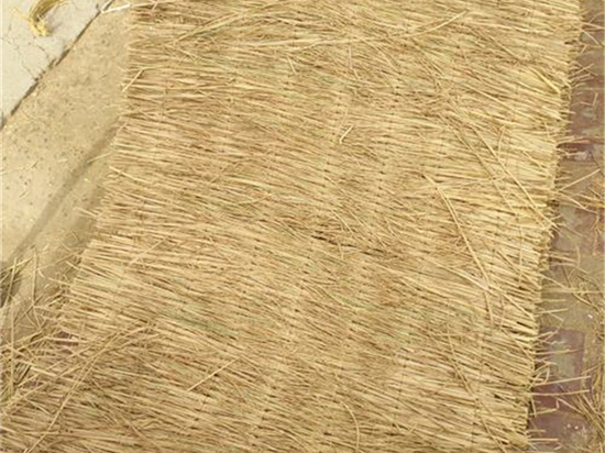 草簾廠的選購要點全解析