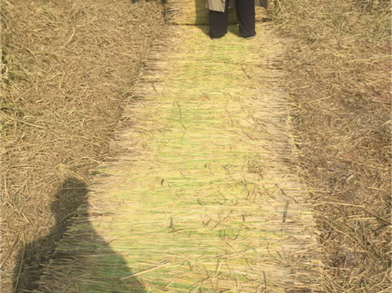 護(hù)坡草簾：保護(hù)水源，守護(hù)清澈河流的生態(tài)屏障