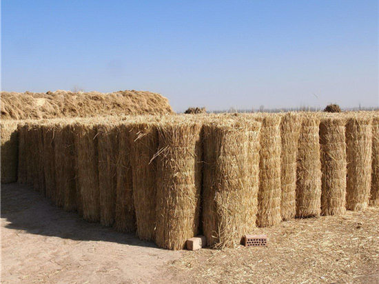 鐵路草簾的選擇與使用技巧 鐵路草簾的選擇與使用技巧