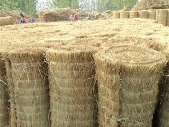 治理污染，保護自然：鋼廠草簾下的環(huán)境治理實踐