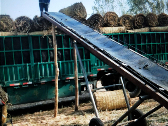 鋼廠草簾的隔熱隔音效果與節(jié)能特性 鋼廠草簾的隔熱隔音效果與節(jié)能特性