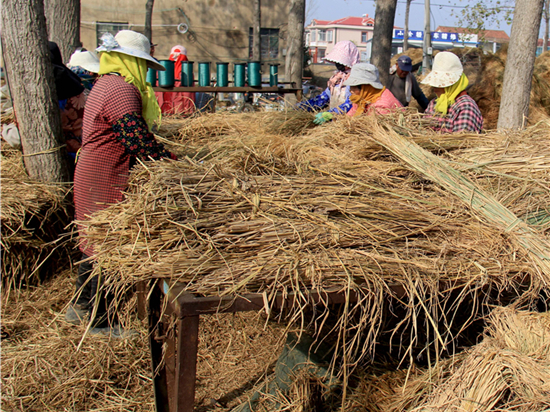 煤礦草苫在礦井防火系統(tǒng)中的應(yīng)用前景展望