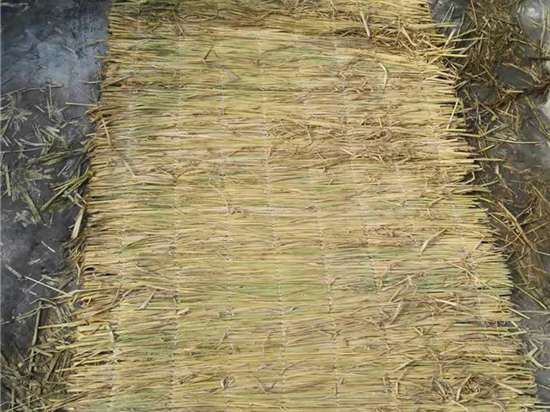 草苫加工技術(shù):農(nóng)業(yè)生產(chǎn)中的新趨勢 草苫加工技術(shù):農(nóng)業(yè)生產(chǎn)中的新趨勢