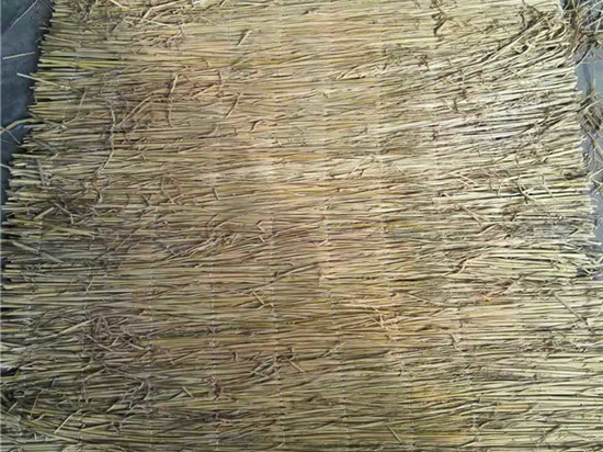 選擇草簾廠的關(guān)鍵因素 選擇草簾廠的關(guān)鍵因素