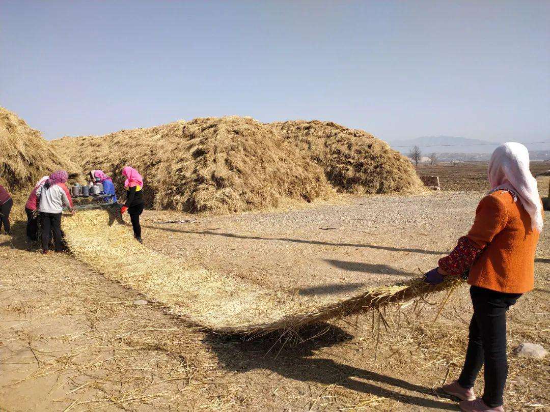 如何辨別可信賴的草簾廠？