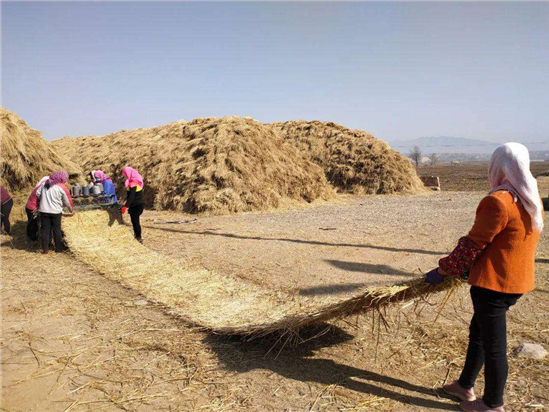 選擇草簾廠的智慧之舉 選擇草簾廠的智慧之舉