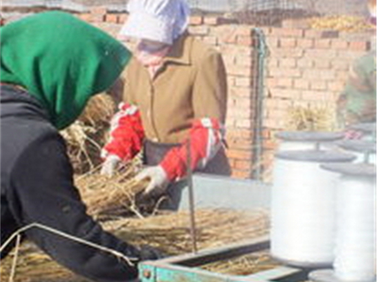 選擇優(yōu)質(zhì)草簾廠的八項(xiàng)技巧 選擇優(yōu)質(zhì)草簾廠的八項(xiàng)技巧