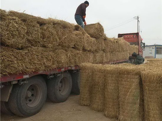 農(nóng)業(yè)覆蓋草苫規(guī)格選擇攻略:根據(jù)作物需求來確定尺寸 農(nóng)業(yè)覆蓋草苫規(guī)格選擇攻略:根據(jù)作物需求來確定尺寸