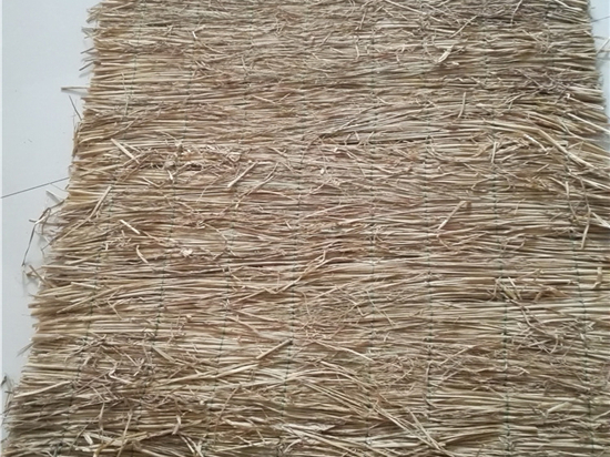 鐵路草苫：做好地方經(jīng)濟轉(zhuǎn)型升級的重要載體！