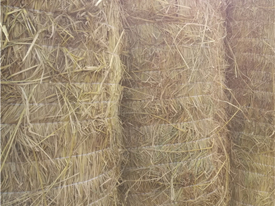 鋪路草苫:打造美麗環(huán)境的綠色道路材料 鋪路草苫:打造美麗環(huán)境的綠色道路材料