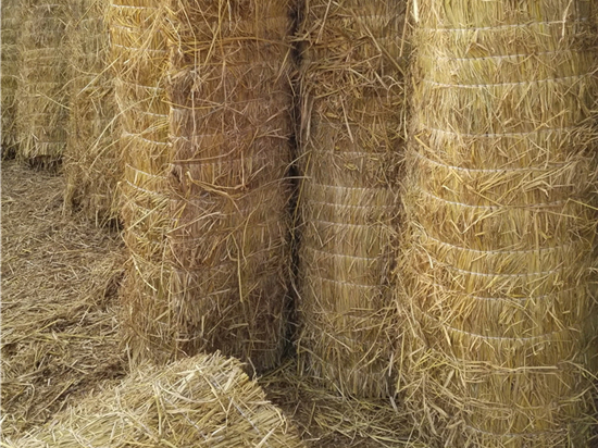 鋼廠草簾的環(huán)保優(yōu)勢與可持續(xù)發(fā)展 鋼廠草簾的環(huán)保優(yōu)勢與可持續(xù)發(fā)展