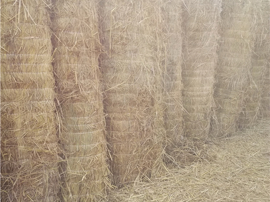 草苫材料的節(jié)能環(huán)保性能分析與評估！