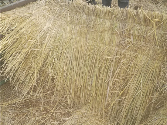 草簾在鐵路運輸中的重要應(yīng)用 草簾在鐵路運輸中的重要應(yīng)用