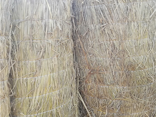 草苫加工技術(shù):為土地保護和環(huán)境治理貢獻力量 草苫加工技術(shù):為土地保護和環(huán)境治理貢獻力量