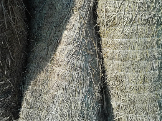 城市美學(xué)的創(chuàng)新拓展:鋼廠草簾的裝飾價值 城市美學(xué)的創(chuàng)新拓展:鋼廠草簾的裝飾價值