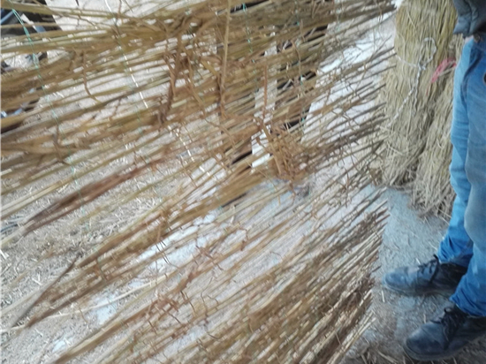 煤礦草苫：提升采煤工藝效率的重要裝備研究成果