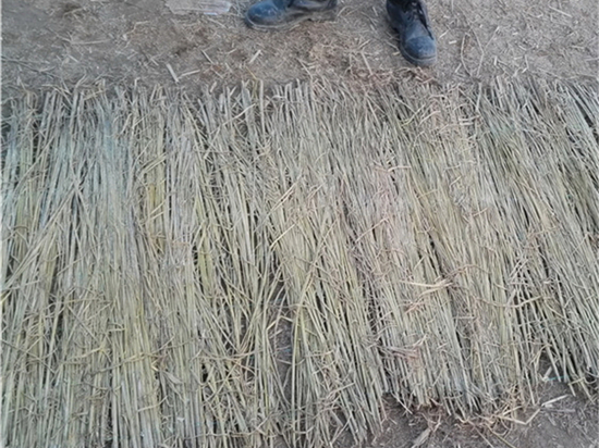 選擇草苫廠的技巧和竅門